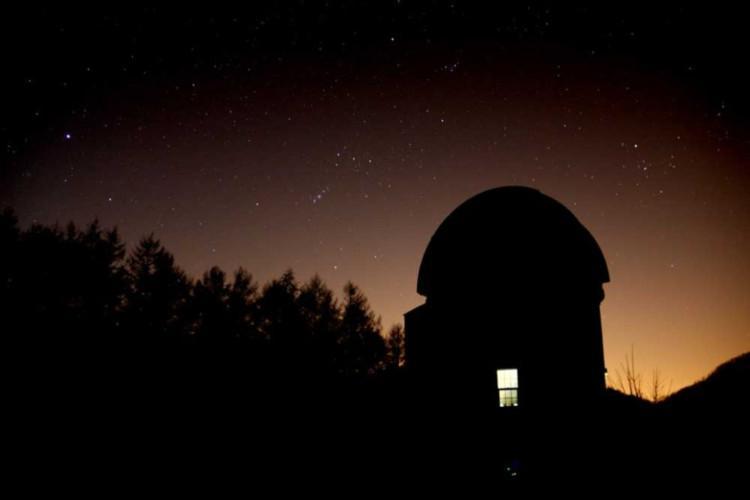 양평 용문산 산나물축제