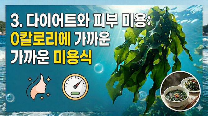 3. 다이어트와 피부 미용: 0칼로리에 가까운 미용식