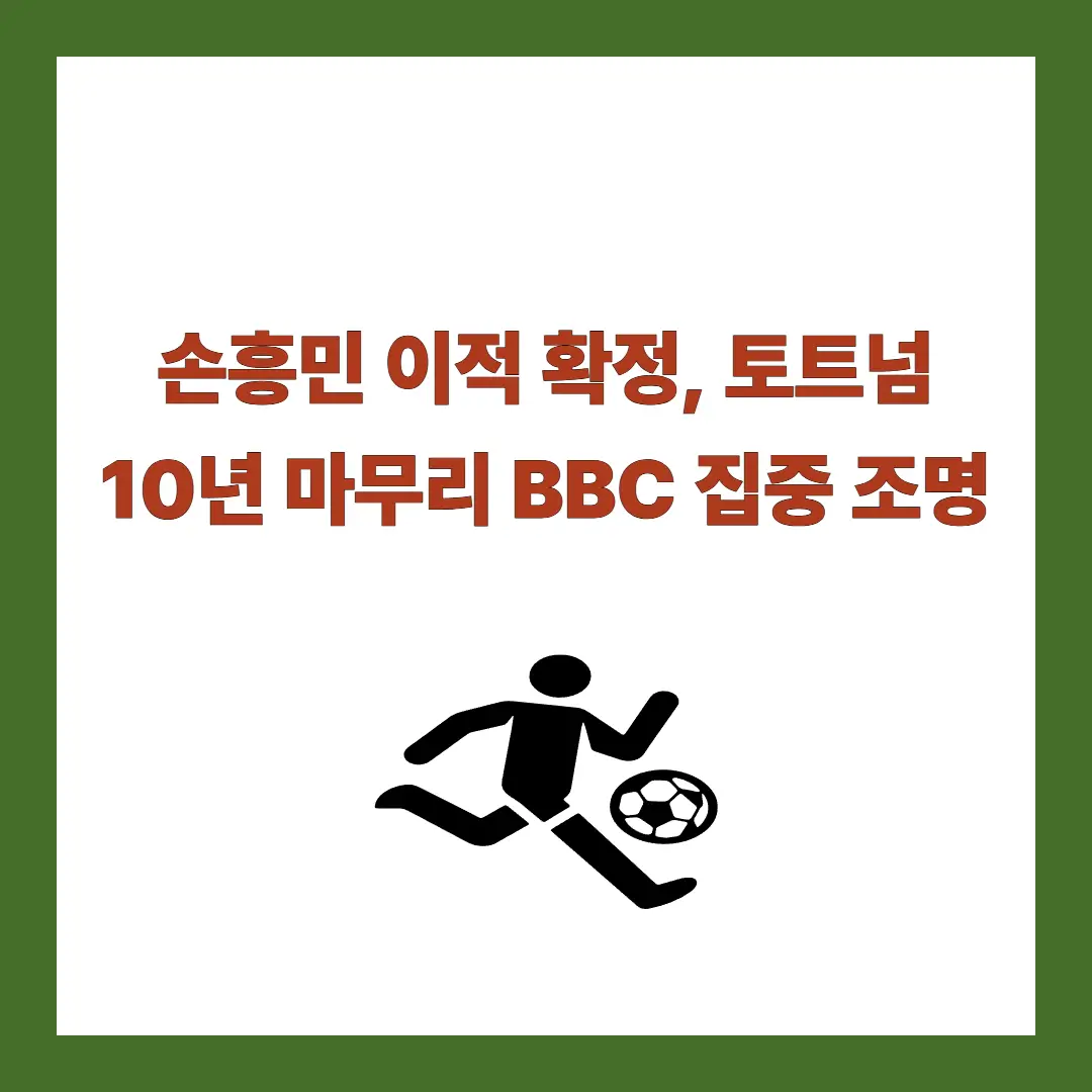 손흥민-이적