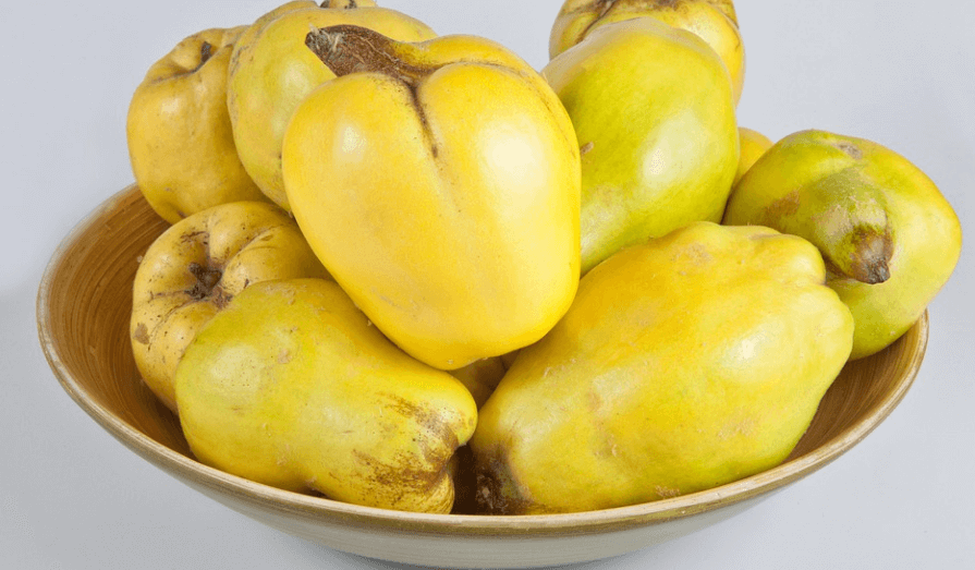 그릇에 여러 개의 모과가 노란색 모과가 담겨 있다
