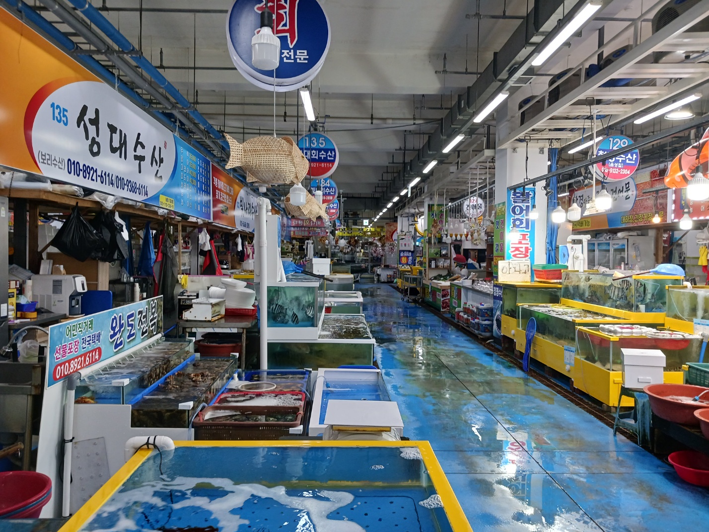 삽교호전망대종합어시장