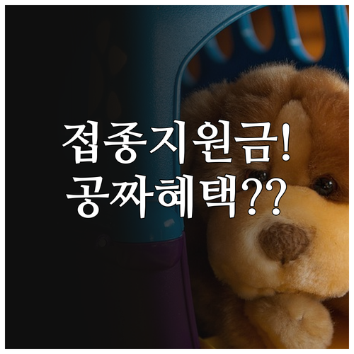 청주 충주 제천 반려동물 예방접종 지..