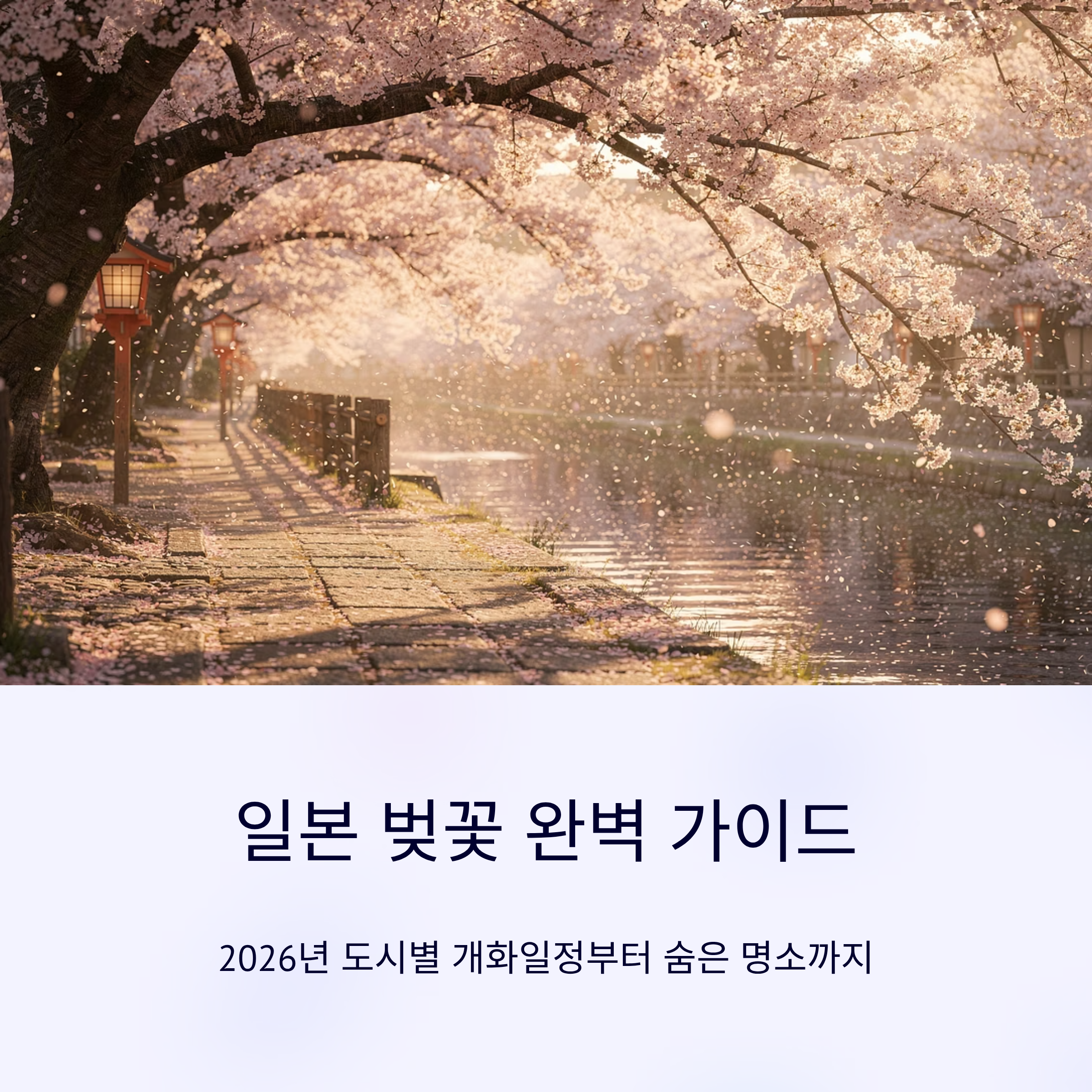 일본 도시별 벚꽃개화일정과 벚꽃축제 즐기는 방법