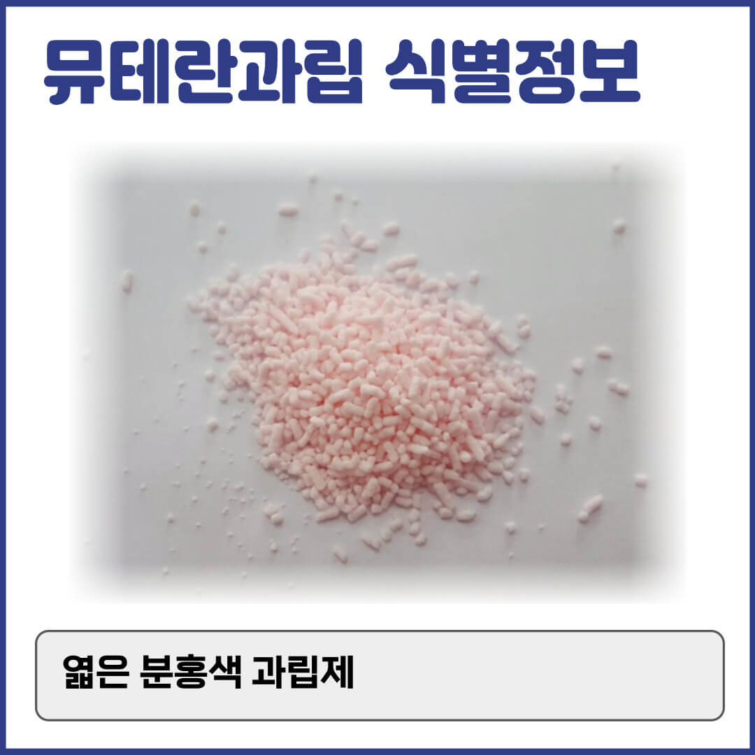 뮤테란과립 식별정보