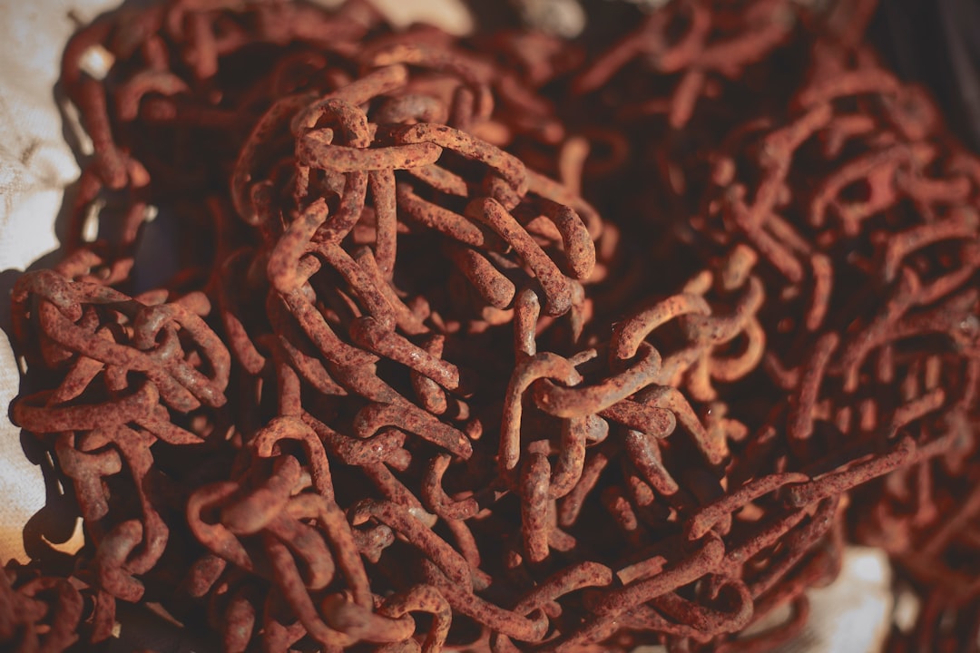 Probiotics.