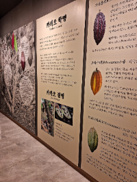 아이와 가평 가볼만한곳 추천 한국초콜릿연구소뮤지엄