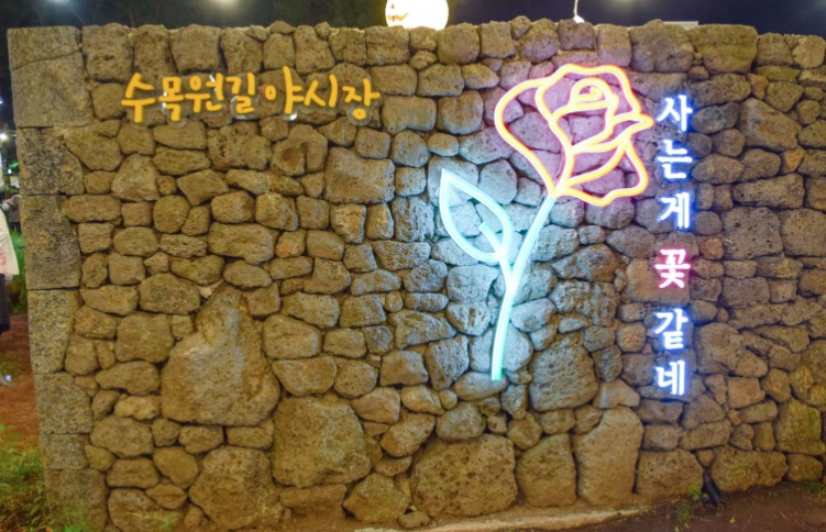 제주 수목원길 야시장 완벽 가이드 (운영시간, 맛집, 주차, 데이트코스)