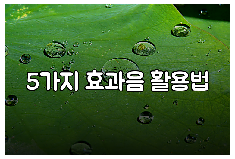 5가지 효과음 활용법