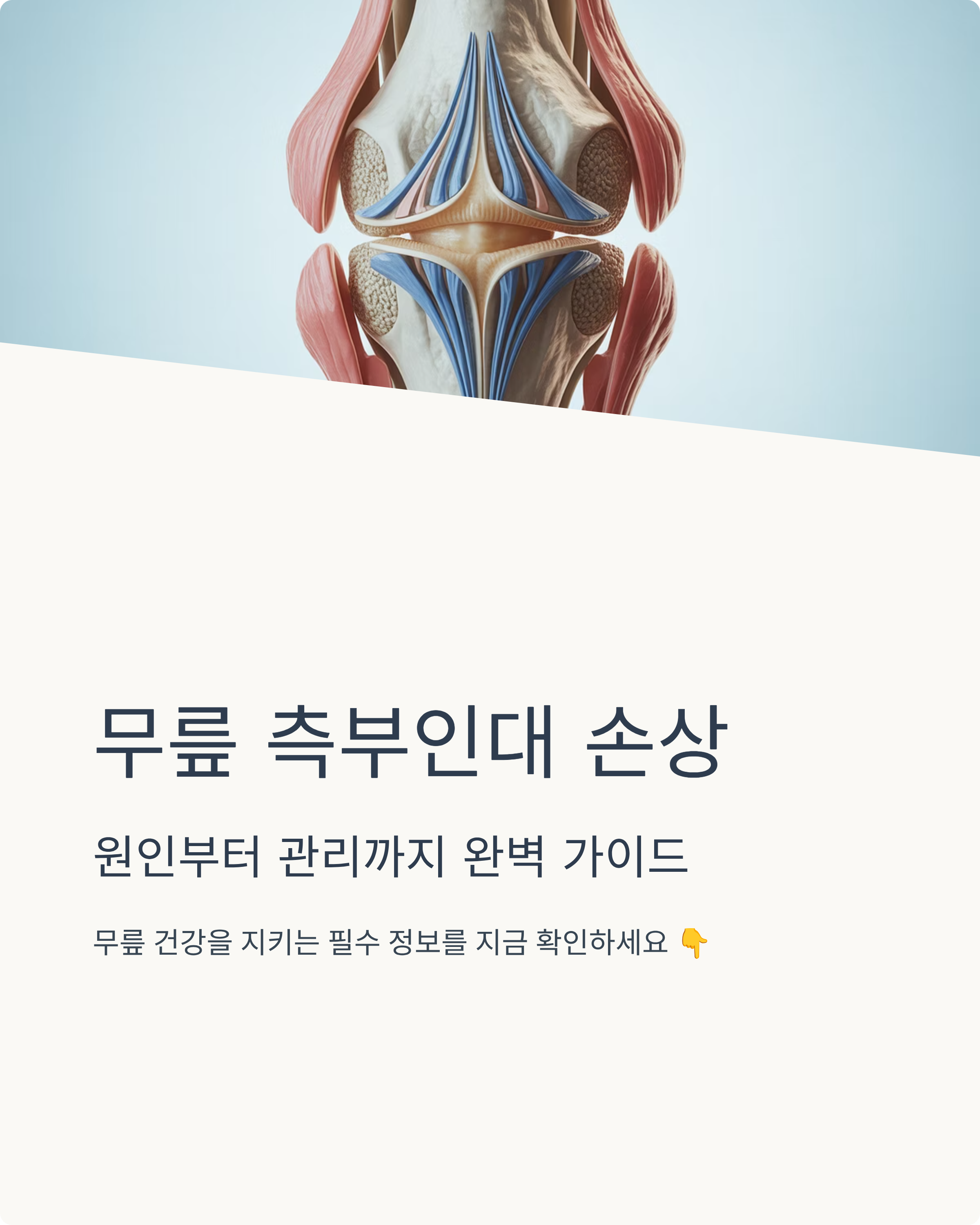 무릎 측부인대 손상: 원인부터 관리까지 완벽 가이드