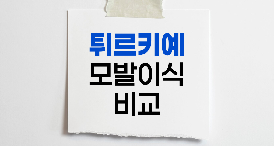 튀르키예 모발이식 vs 한국 모발이식, 선택의 기준