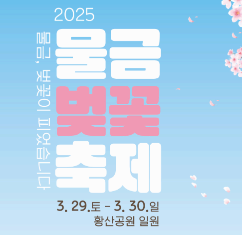 양산물금벚꽃축제