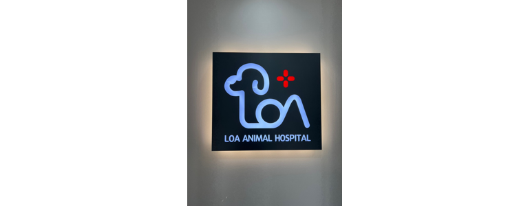 군포시 동물병원