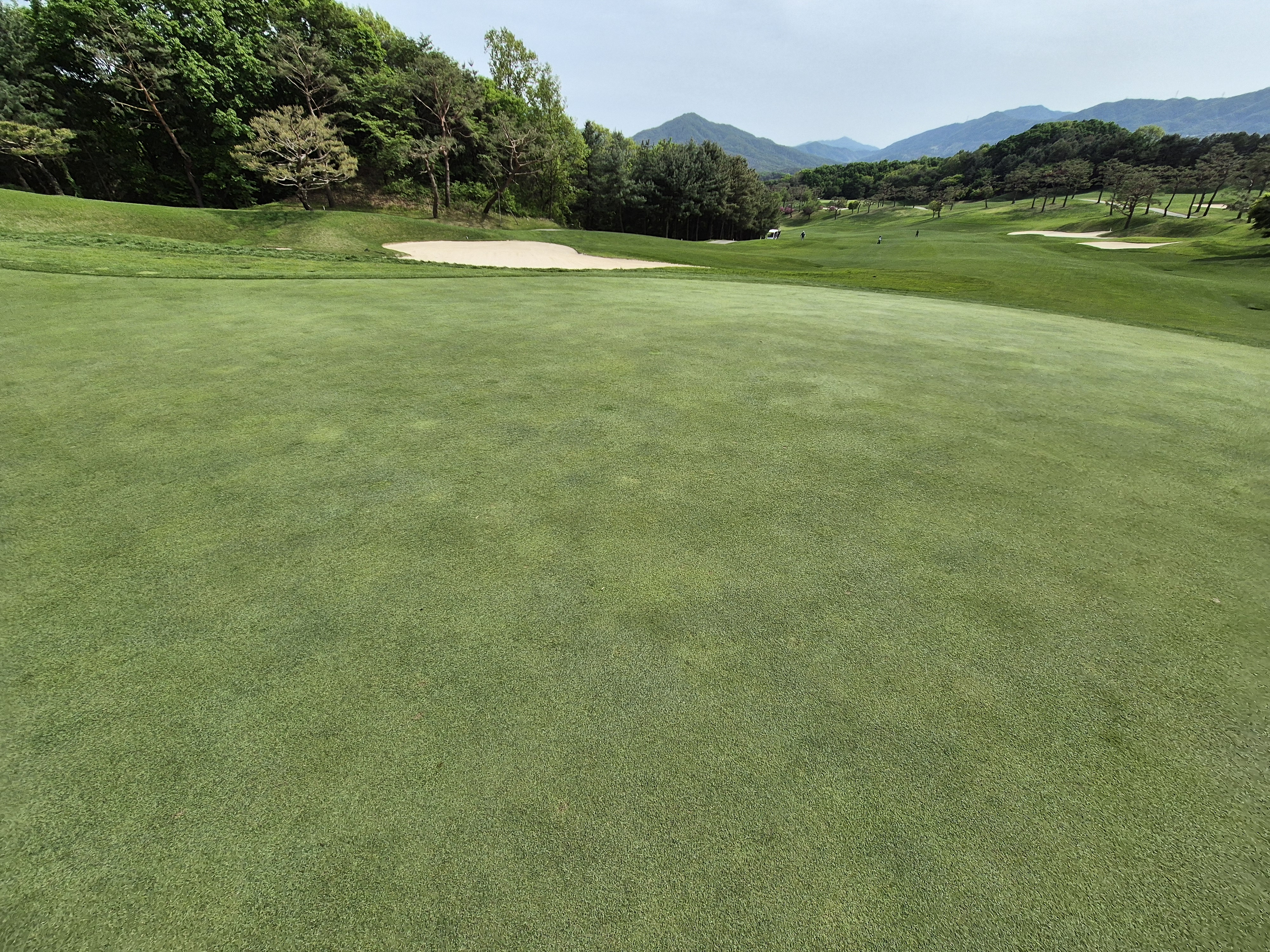 베어크리크cc 크리크코스