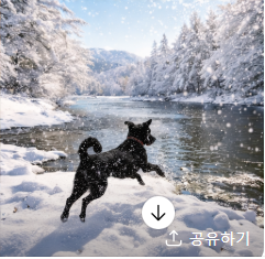 초보 견주를 위한 강아지 건강관리 가이드