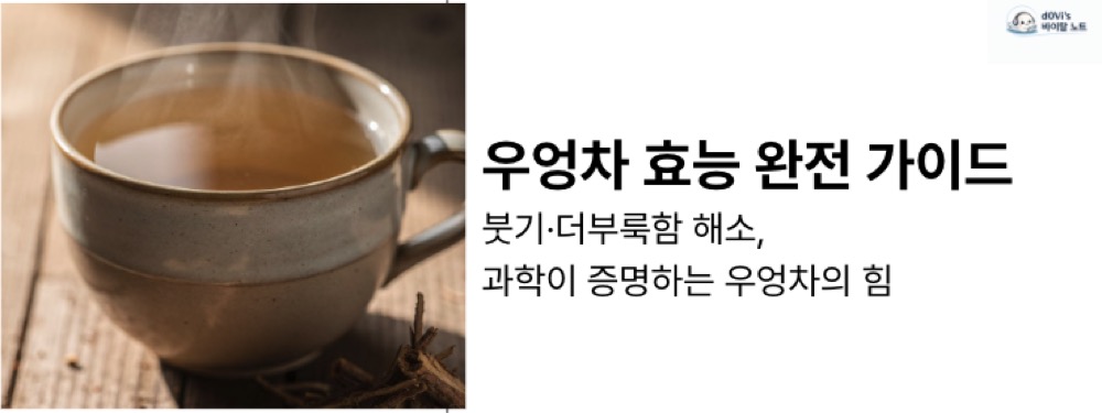 우엉차 효능 대표이미지