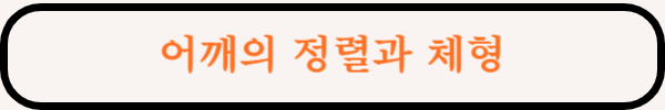 어깨정렬