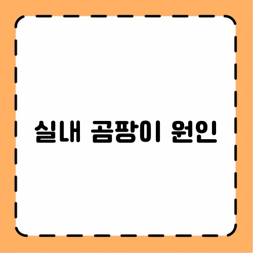 실내 곰팡이 원인