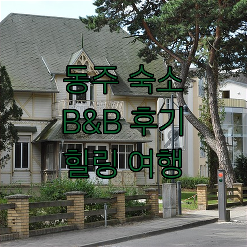 자오 차 B&B 동주 숙박 후기 아름..