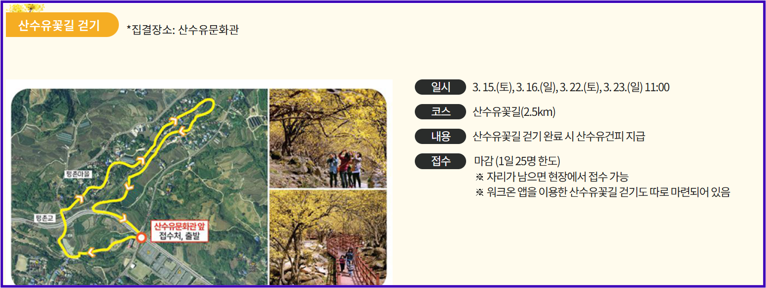 산수유꽃길 걷기