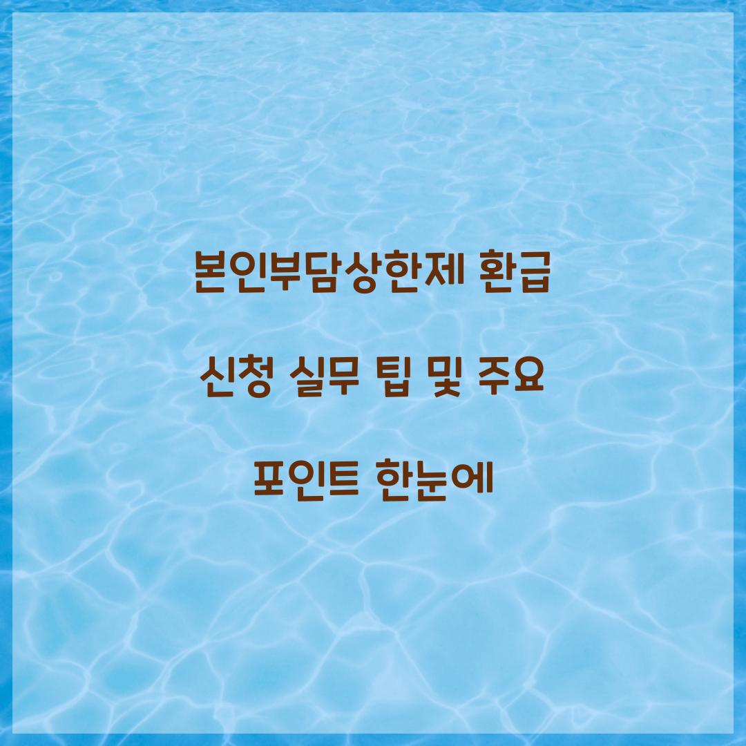 본인부담상한제 환급 신청