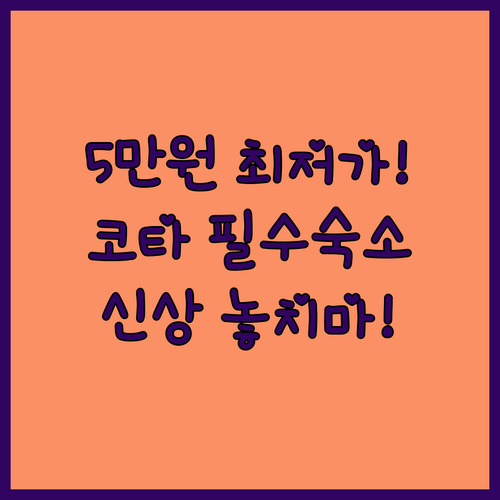 5만원대 최저가부터 신상 호텔까지 코..