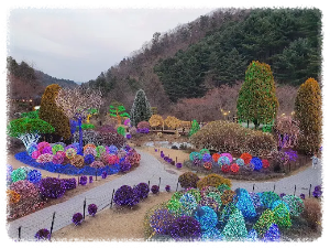 아침고요수목원