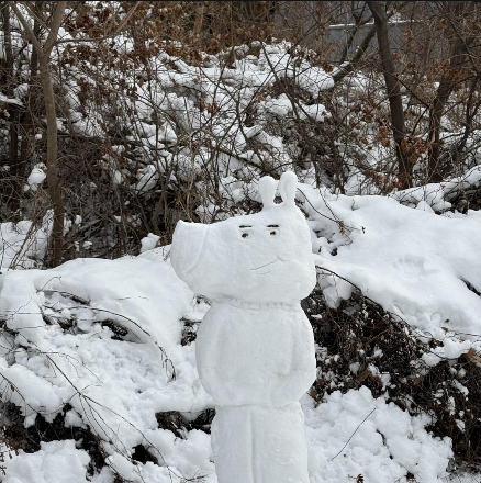 칠가이 - chill guy