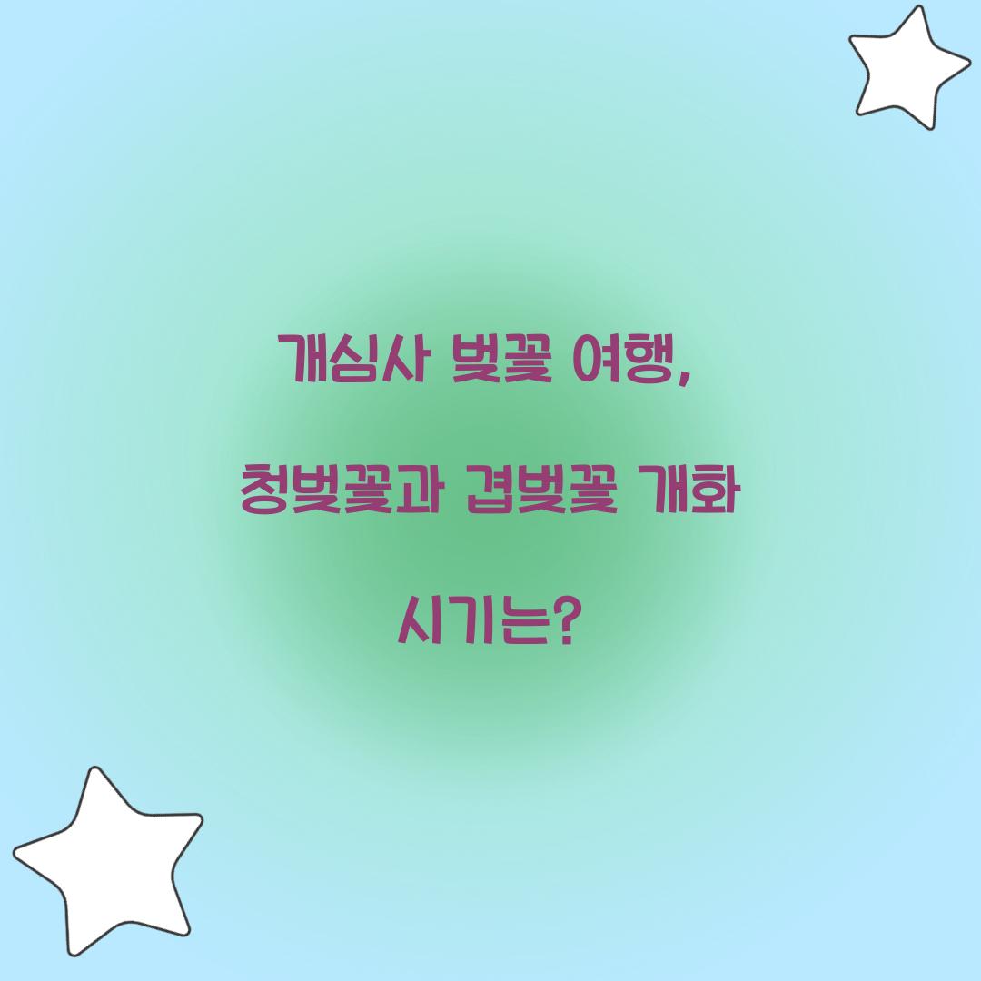 개심사 벚꽃