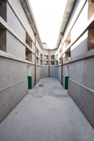 타이베이 여행 추천 신부정문화시장