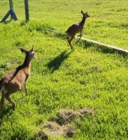 영농조합법인제이러브팜 