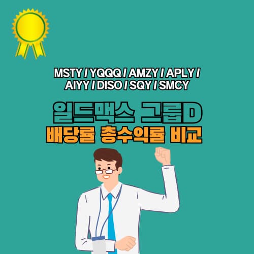 일드맥스 그룹D 배당률 및 총수익률