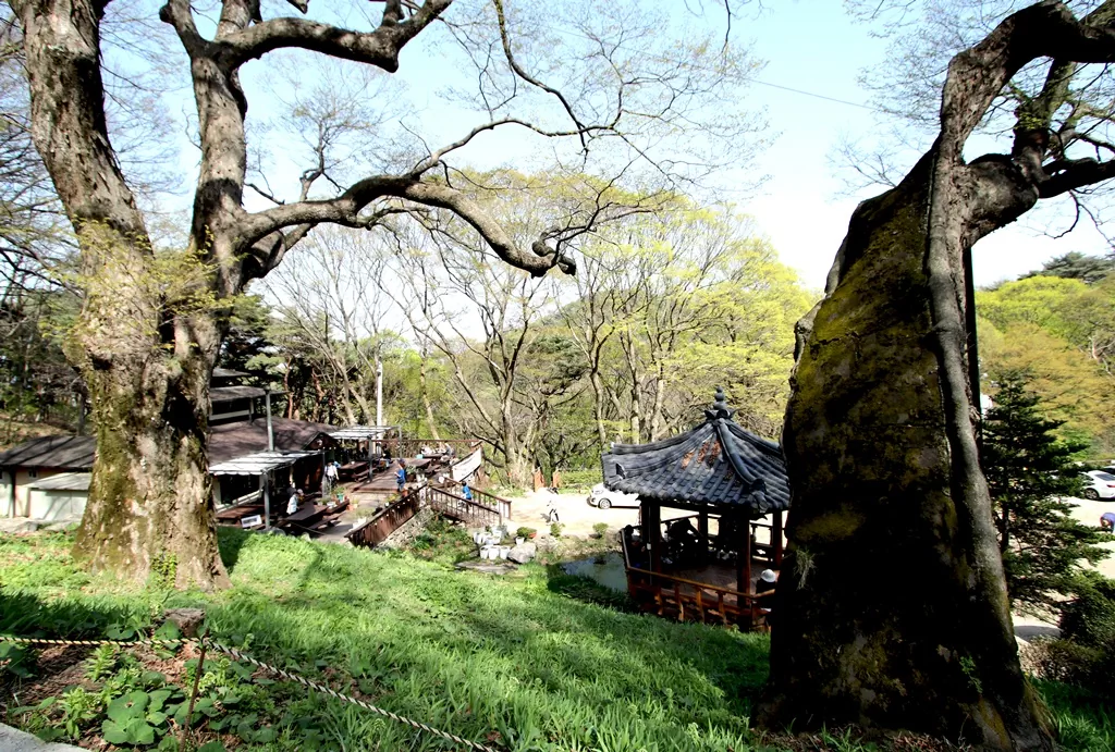 고려산 정상에서 하산 길에 마주한 평온한 백련사의 풍경.