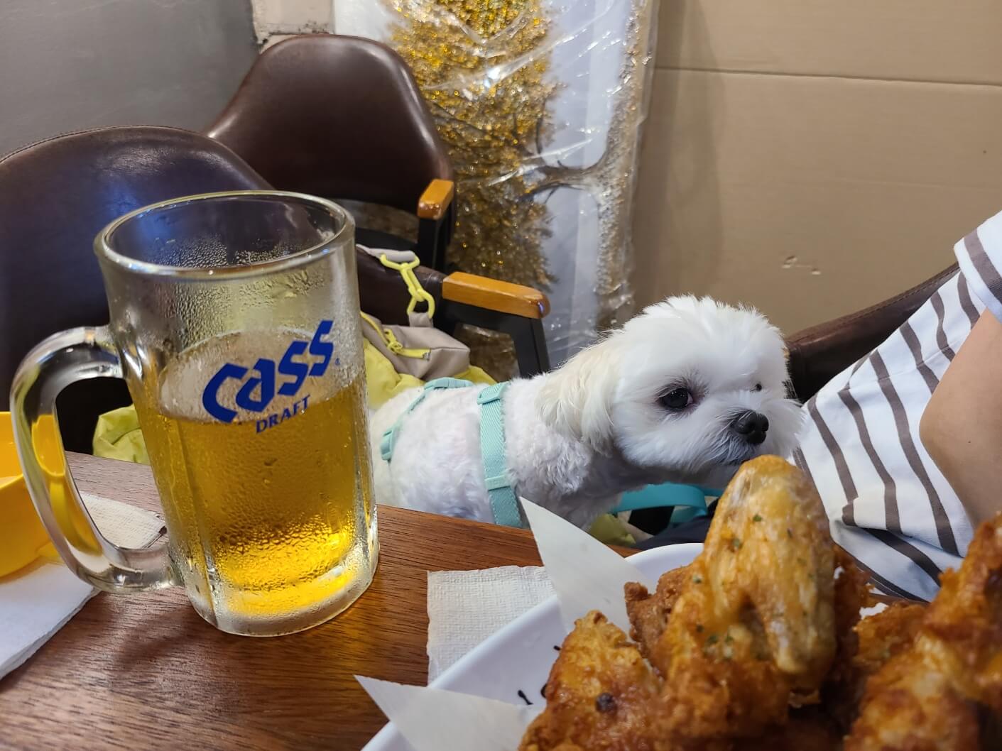 애견동반술집 벙커