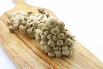 만가닥버섯 효능_26