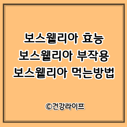 보스웰리아 효능, 부작용, 먹는방법