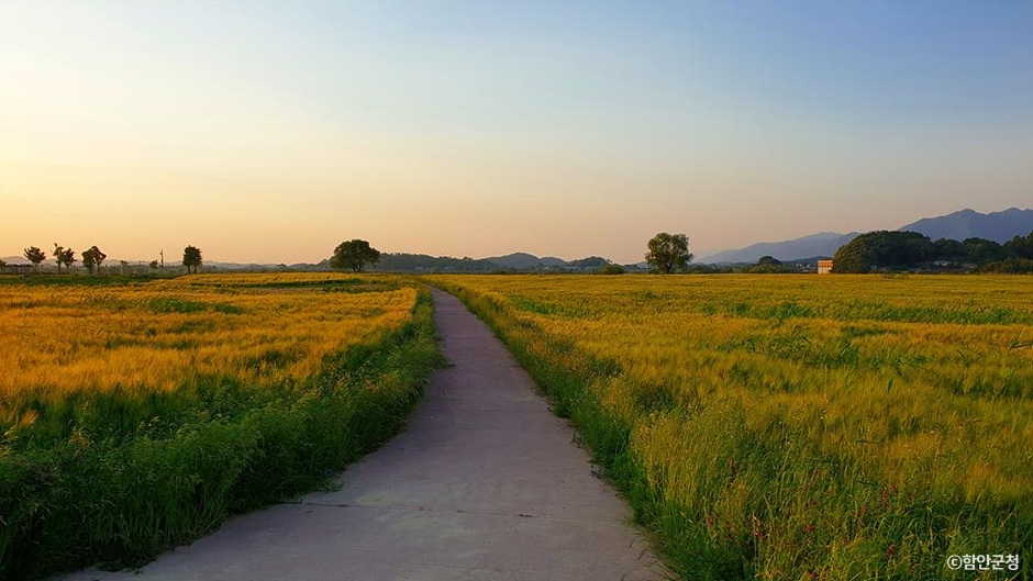 함안 가볼만한곳 베스트10