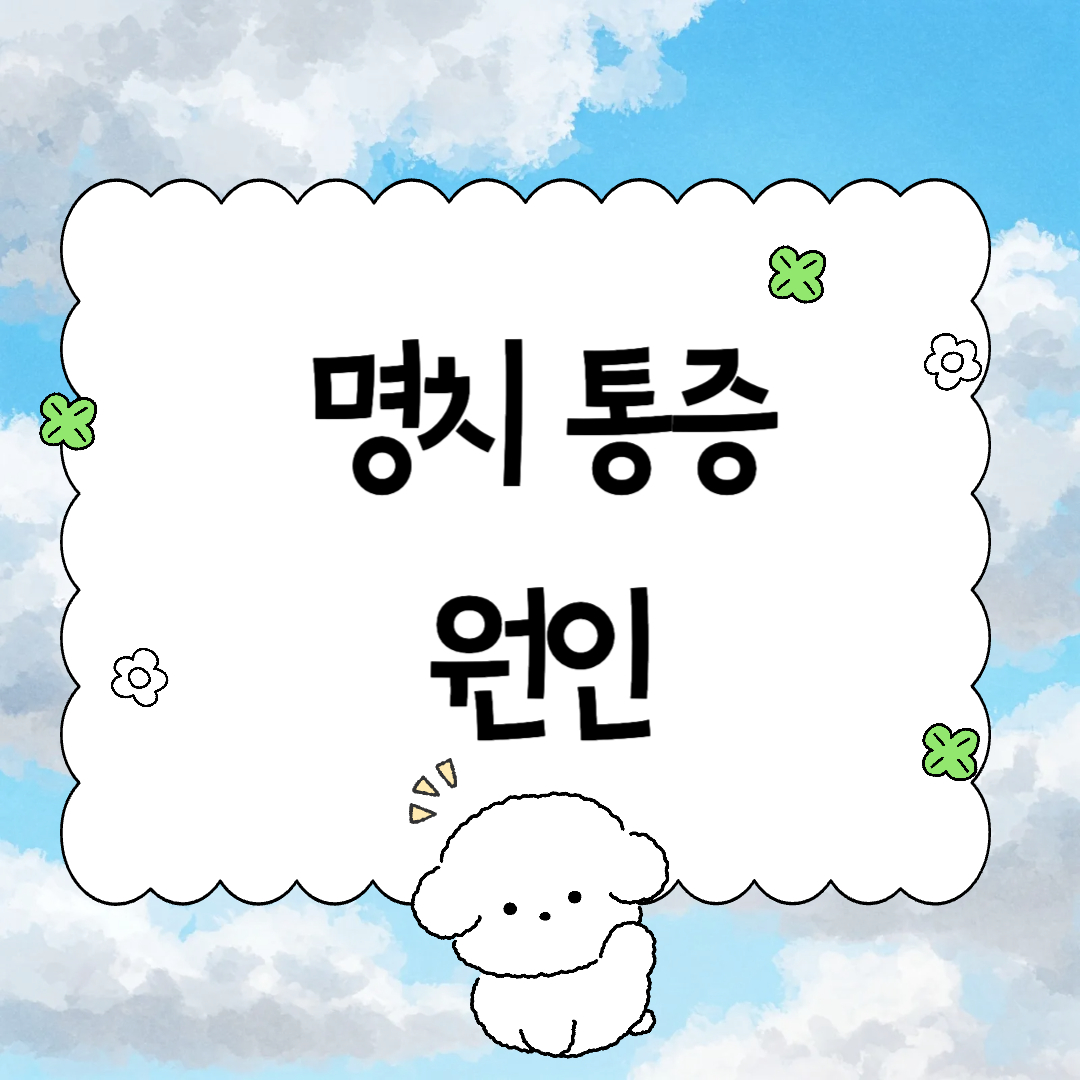 명치 통증 원인