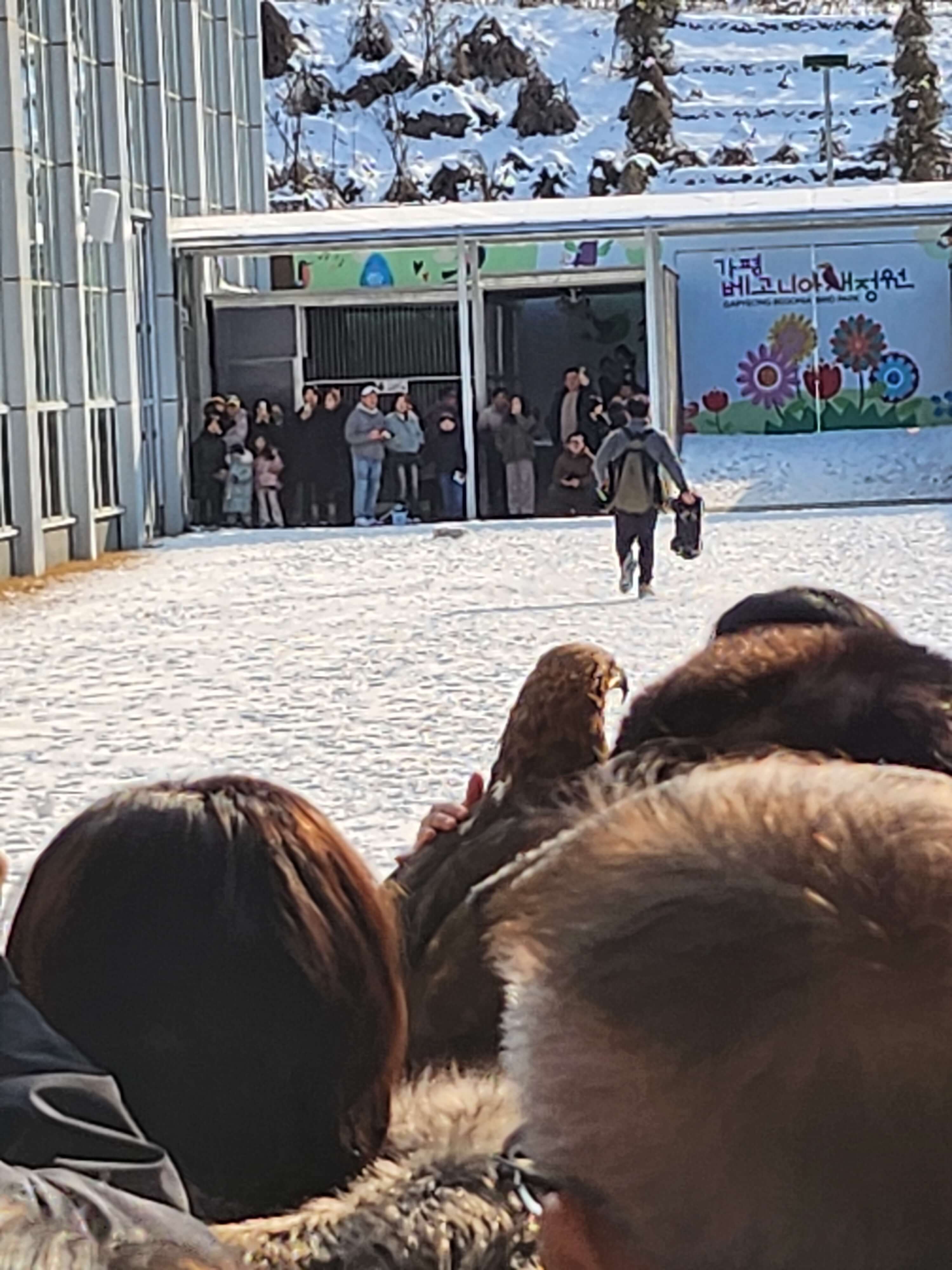 가평 베고니아 정원