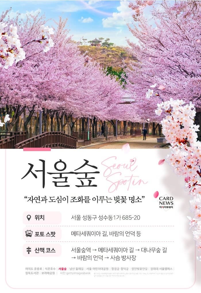 서울 벚꽃 명소 10곳 소개