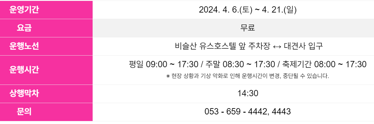 비슬산 참꽃축제