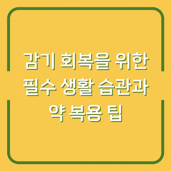 감기 회복을 위한 필수 생활 습관과 약 복용 팁