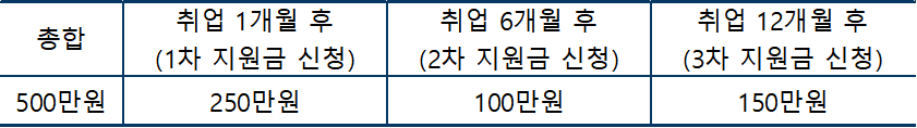 해외 취업 정착 지원금 금액