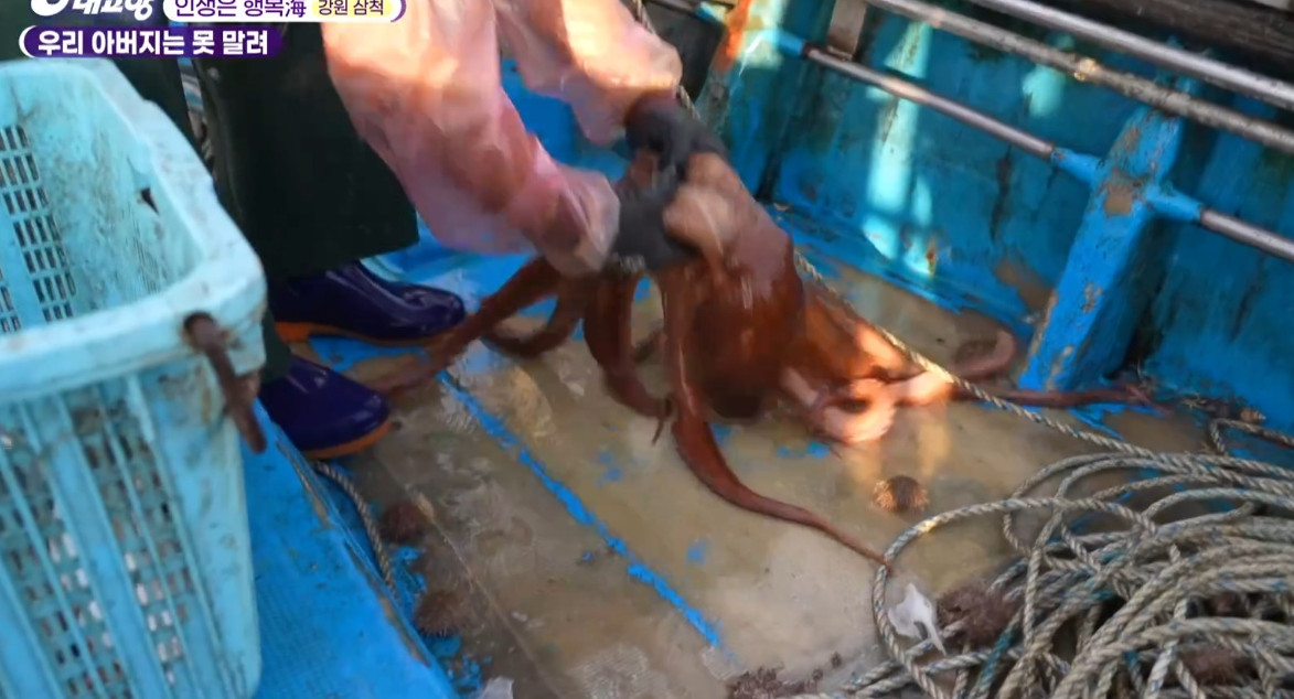 6시내고향 다시보기