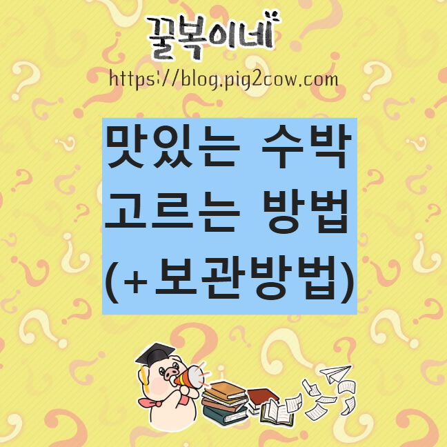 생활정보