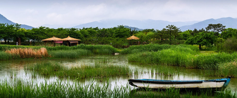 순천만 습지