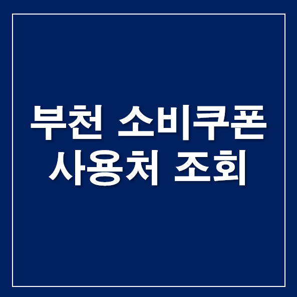 부천 민생지원금 소비쿠폰 사용처 부천페이 주유소 가맹점 조회