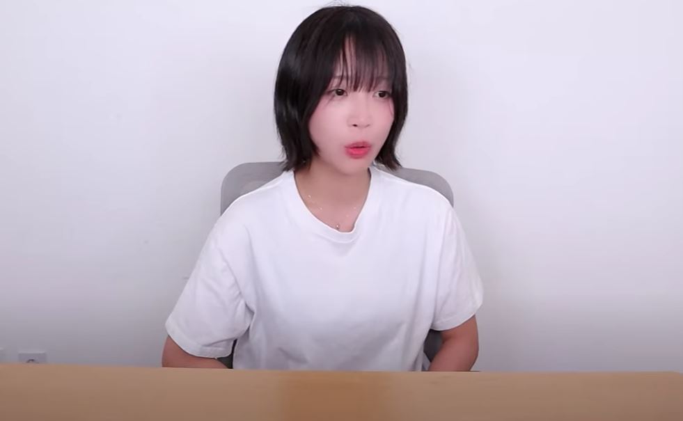 쯔양 과거 사진 가세 연 수입 남친