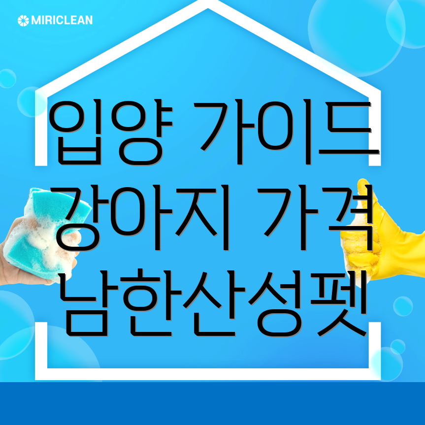강아지 입양