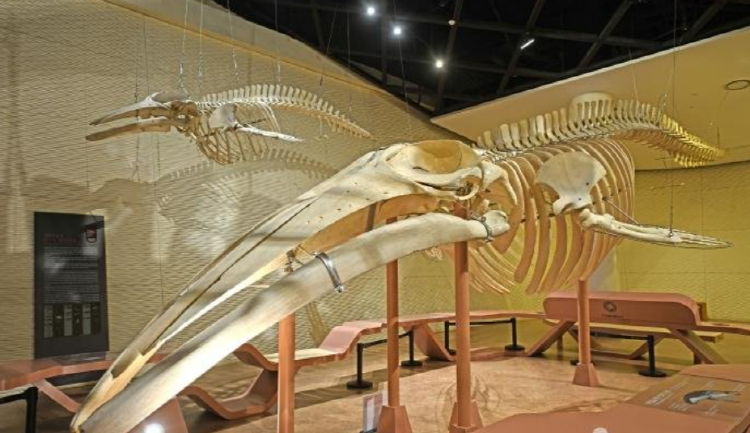 국립해양생물자원관