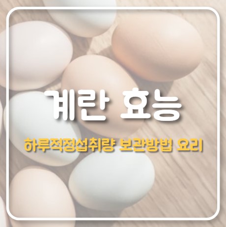계란 효능, 하루 적정 섭취량, 보관 방법, 요리